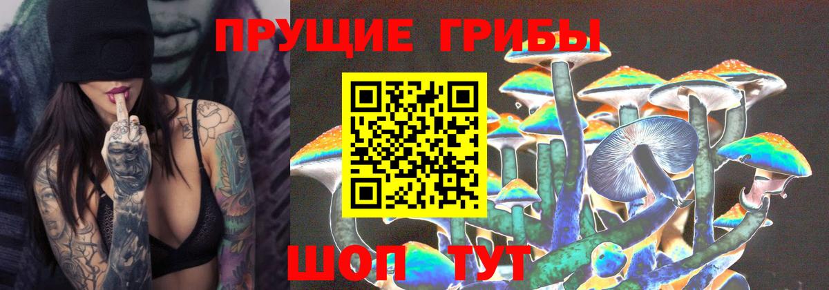 Галлюциногенные грибы Cubensis Калуга