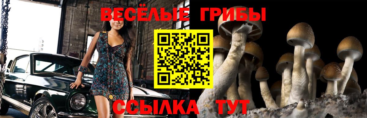 Псилоцибиновые грибы GOLDEN TEACHER  Галлюциногенные грибы мухоморы  Калуга  Вход с VPN 